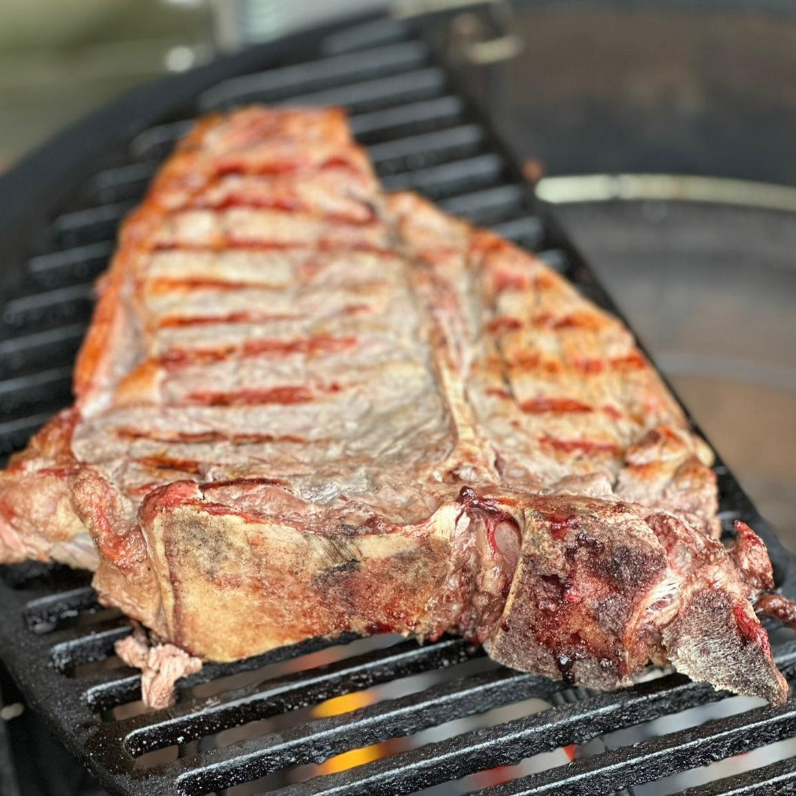 MY BBQ GRILL HALFMOON - LARGE (49.5 cm) - Gietijzeren grill (open)