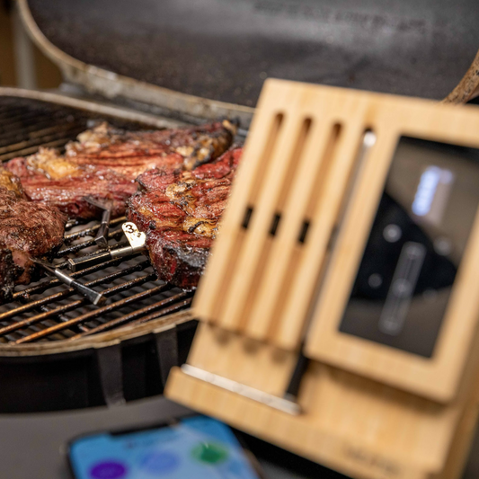 Meater Plus Block - premium WiFi vleesthermometer